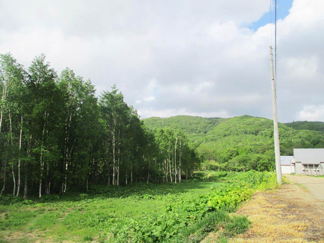 HAKUGIN