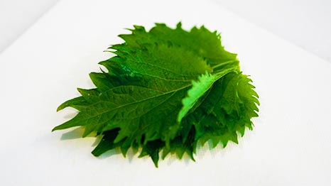 HakuginPork recipe